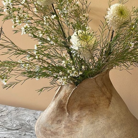 Meet your Posher, Posh - Picture 1 of 1